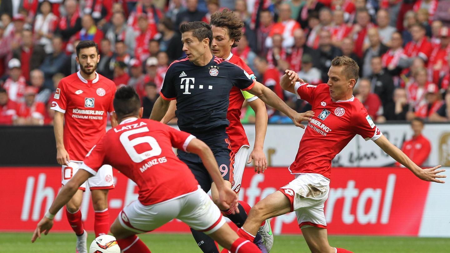 顿奇才球迷 顿奇才球迷